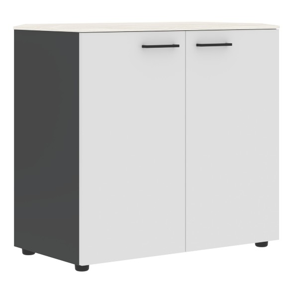 Шкаф с глухими дверьми и топом JLC 85.1 856х452х814 JAY в Реж 